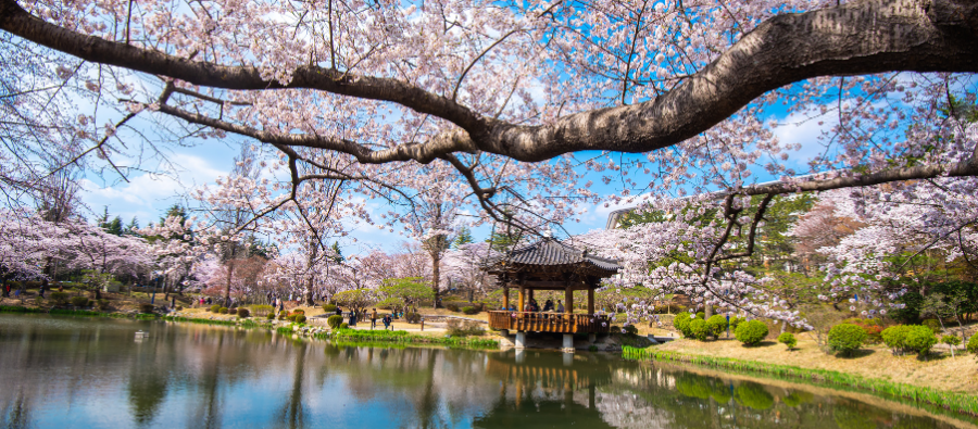 Hidden Gems: Gyeongju
